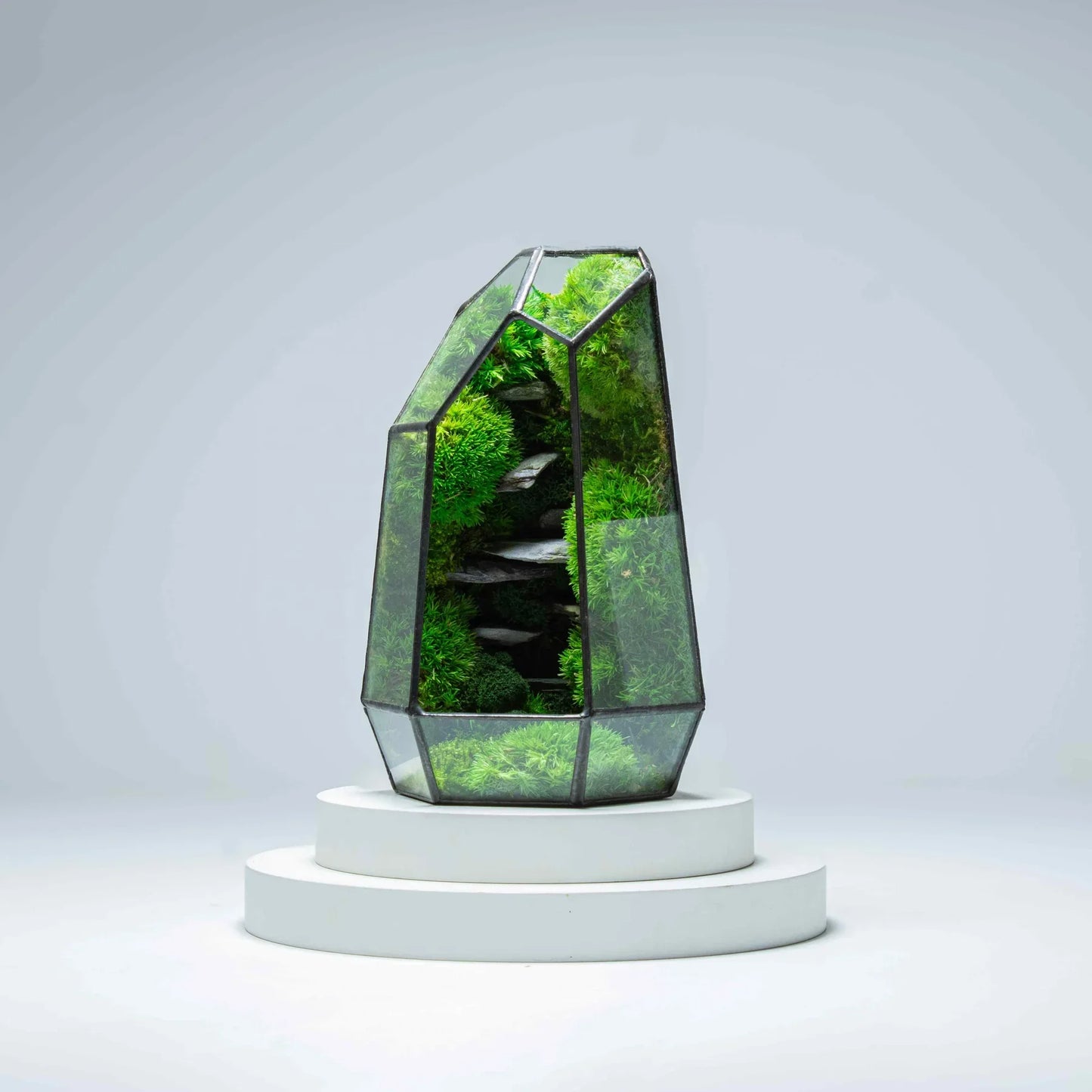 Prismia Terrarium