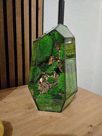 Customer testimonial image