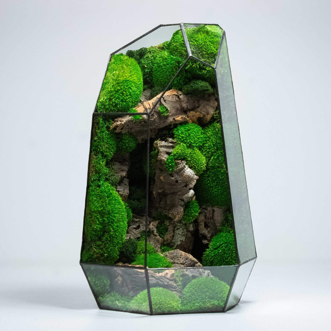 Prismia Terrarium