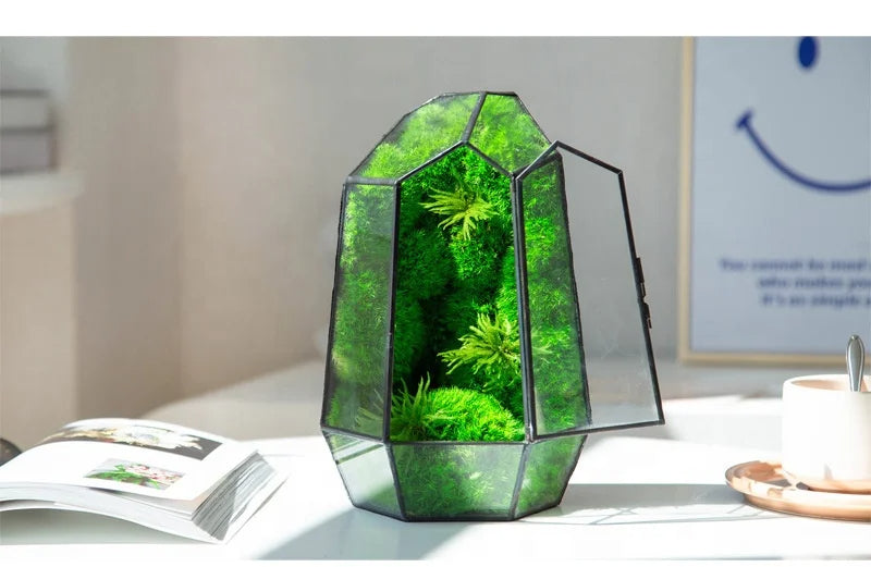 Prismia Terrarium