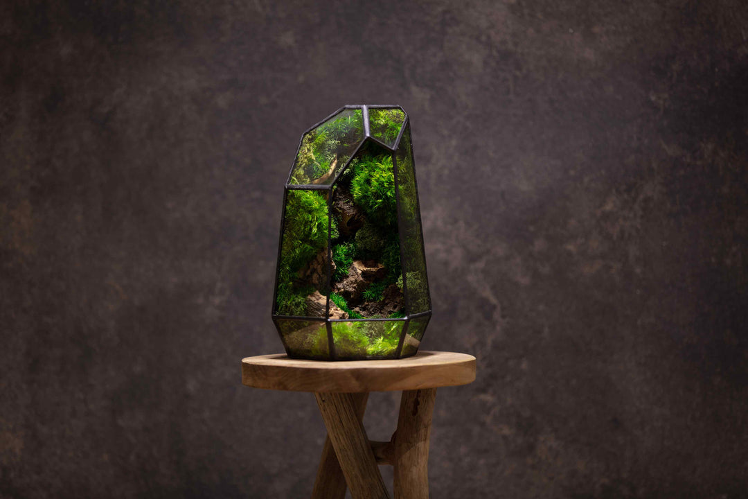 Prismia Terrarium