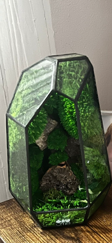 Customer testimonial image