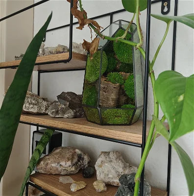 Customer testimonial image