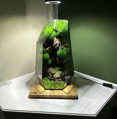 Customer testimonial image