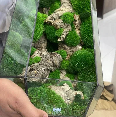 Customer testimonial image